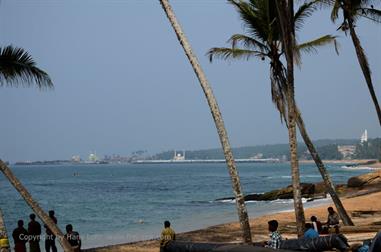 Coconut Beach, Kovalam,_DSC_9114_H600